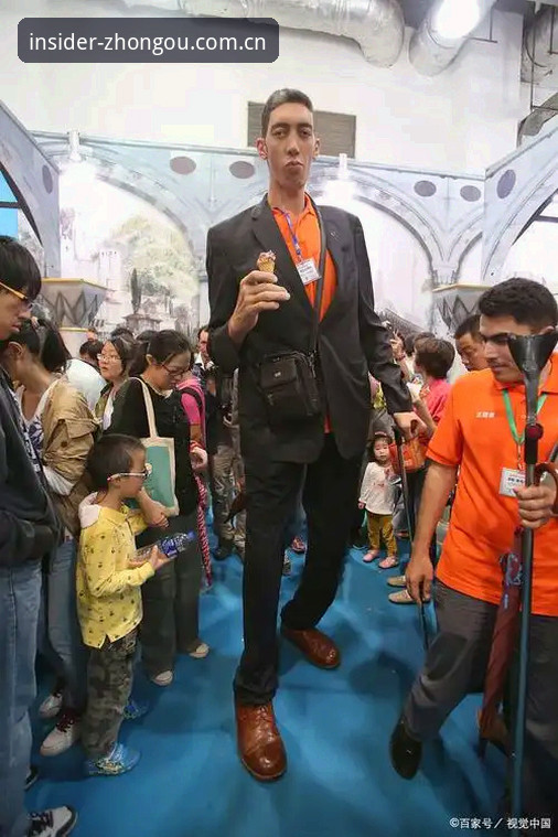 揭秘：身高2米03的“巨人”如何在草地上用12记Ace撕开胜利